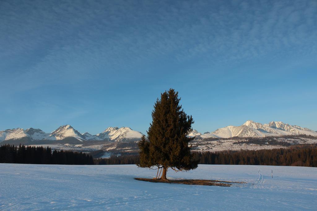 Chaty Tatra Tatrzańska Szczyrba Zewnętrze zdjęcie